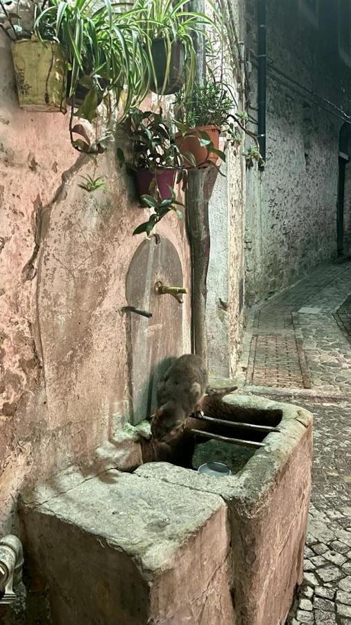 Le Petit Bijou Di Dolceacqua, Per Un Momento Romantico Eksteriør billede
